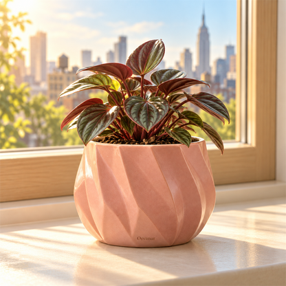 Orvanur Rose Facet Planter styled with an indoor plant